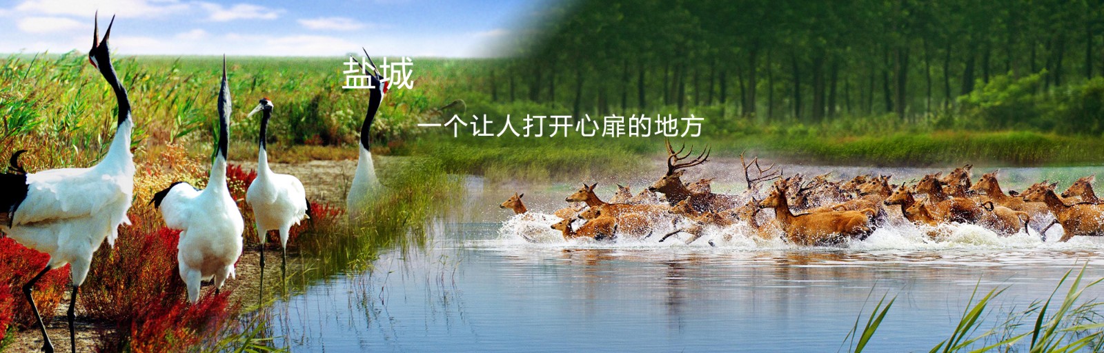 ���ս�֩��߿չ������޹�˾-����